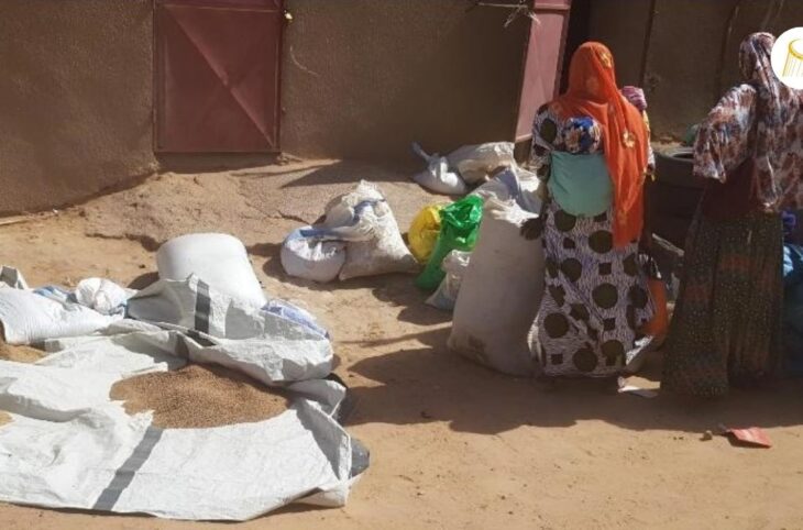 Flambée du prix des semences à Bourem