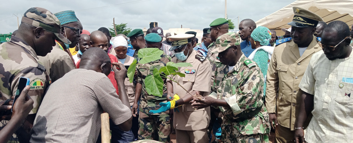 Plus de 150 pieds bientôt plantés dans la commune de San