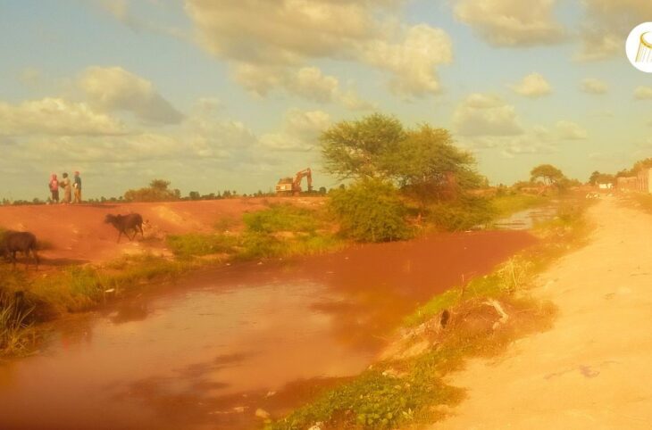 Macina : les exploitants agricoles saluent l'entretien des canaux d'irrigation