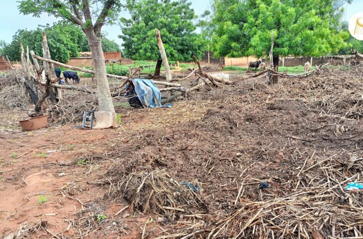 Bankass : le compost et le fumier comme alternatives à l'engrais chimique