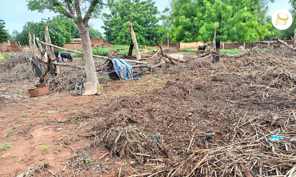 Bankass : le compost et le fumier comme alternatives à l’engrais chimique