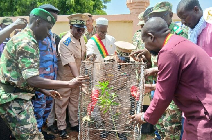 Lancement officiel de la campagne de reboisement à Nioro