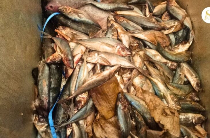 Le poisson de mer très prisé à Bankass