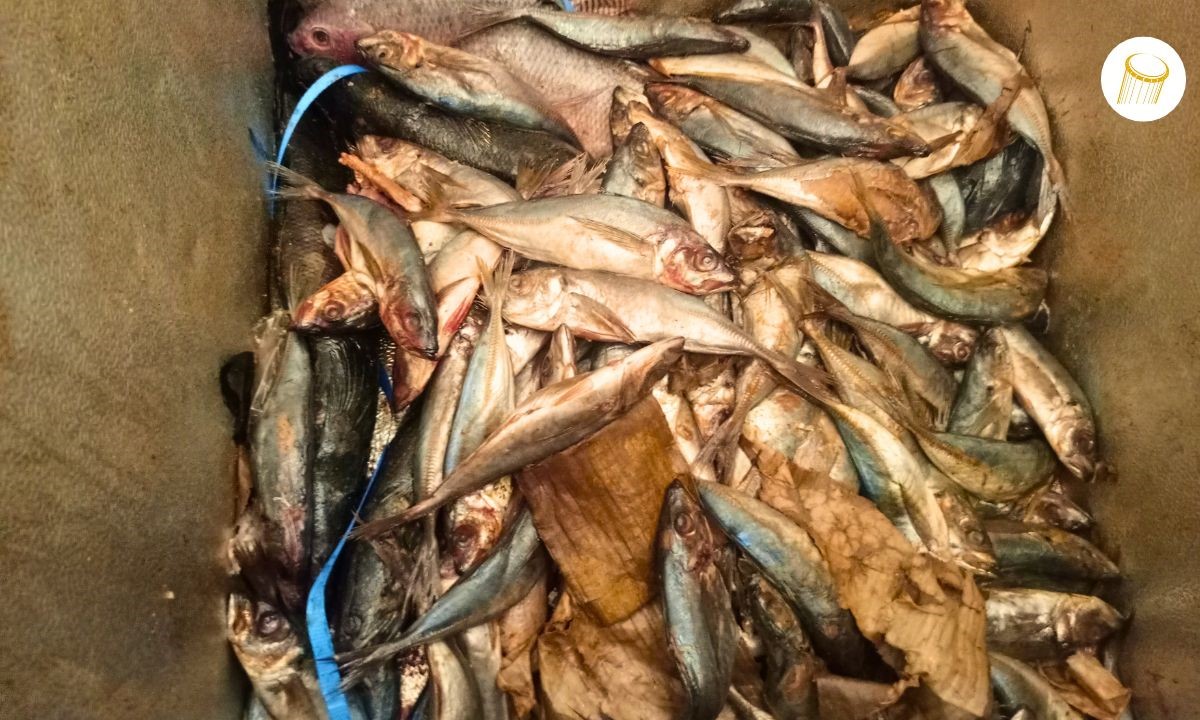 Le poisson de mer très prisé à Bankass