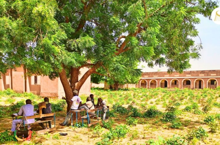 Bankass : des champs scolaires pour soutenir les cantines