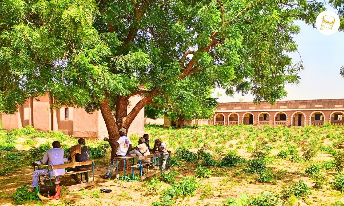 Bankass : des champs scolaires pour soutenir les cantines