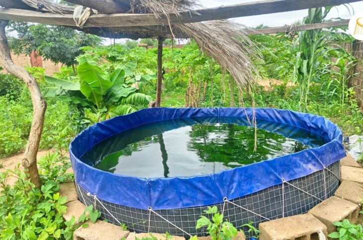 La pisciculture se développe à Bankass
