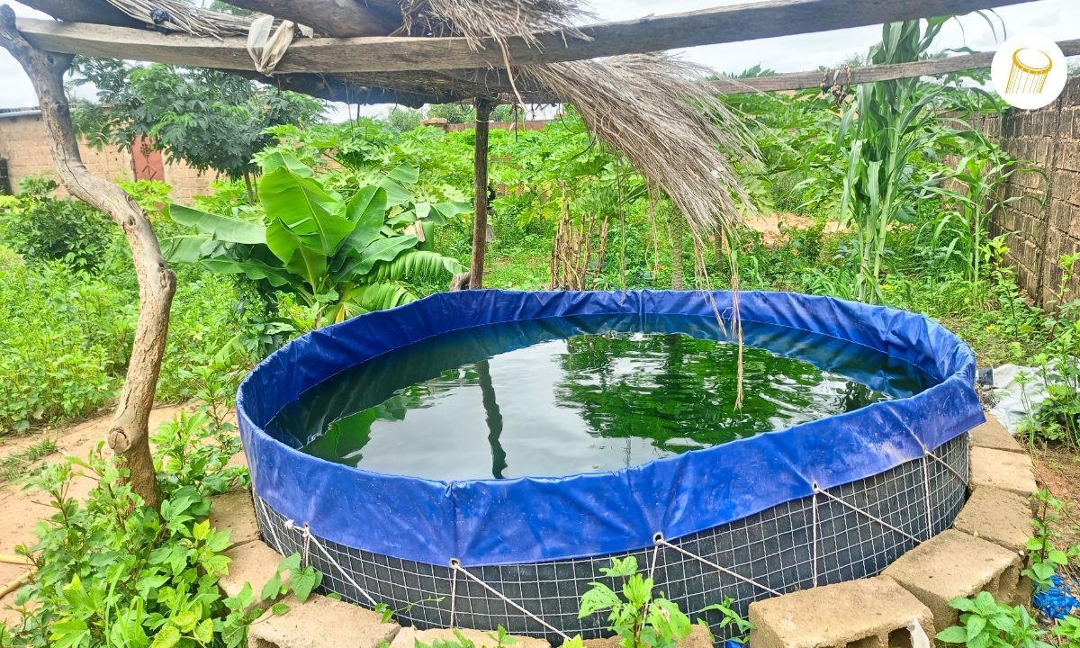 La pisciculture se développe à Bankass