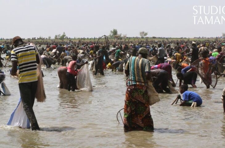 Pêche et climat : un équilibre menacé