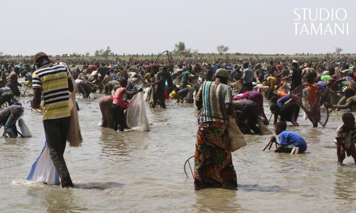 Pêche et climat : un équilibre menacé