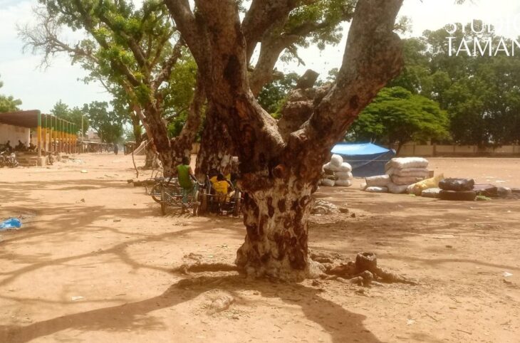 Une baisse inédite du prix du riz à Macina