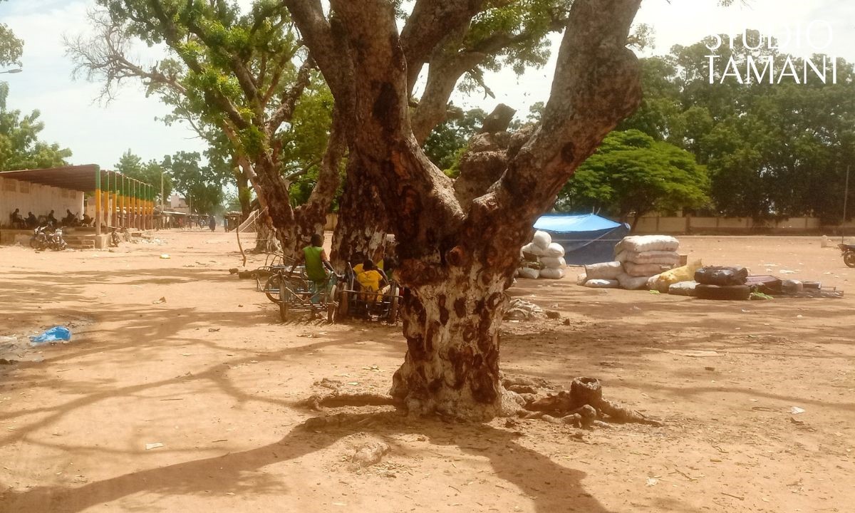 Une baisse inédite du prix du riz à Macina