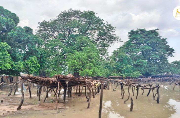 Les pieds dans l'eau au marché de Diallassagou