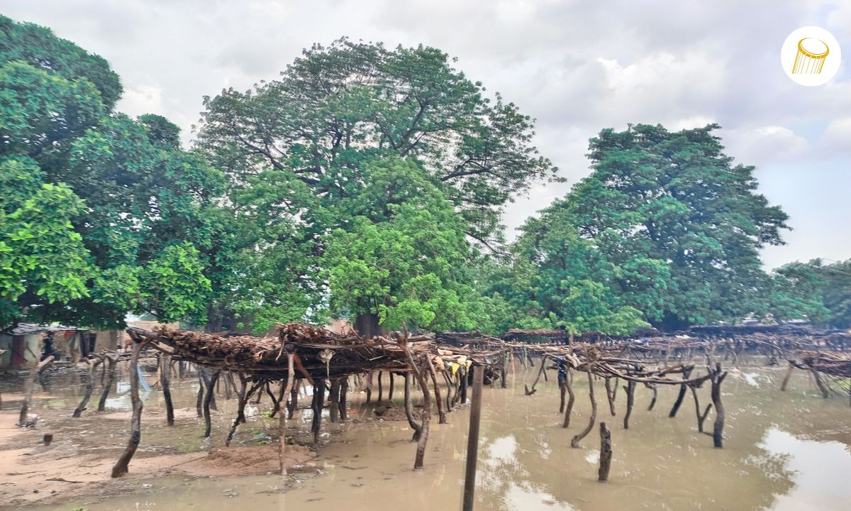 Les pieds dans l’eau au marché de Diallassagou