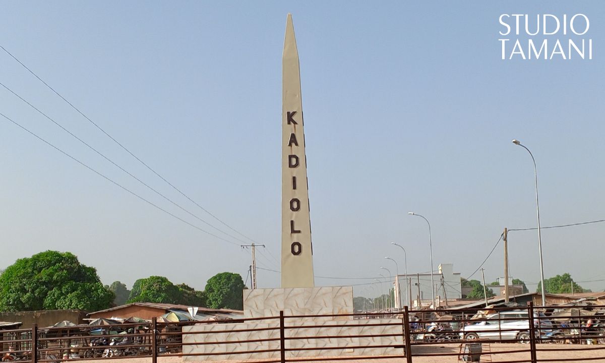 Kadiolo : un parc de vaccination moderne à Finkolo