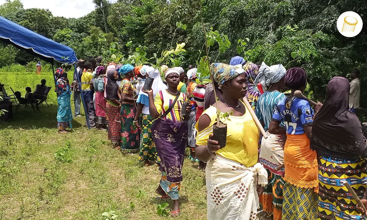 Kadiolo : reboisement de la forêt sacrée de Gouéné