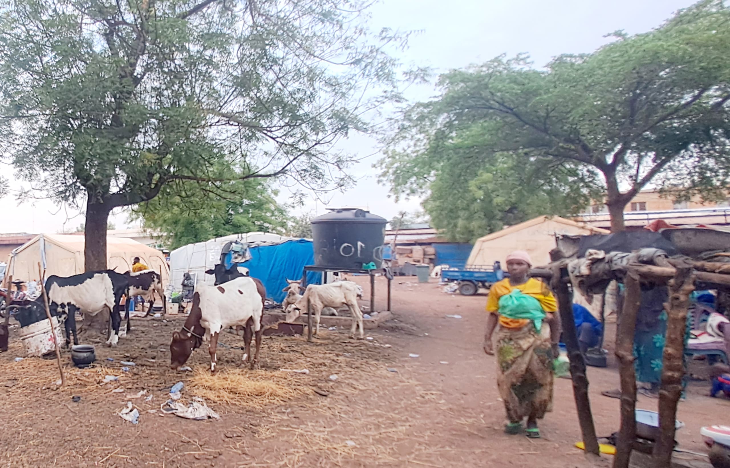 Intégration                                                                                                                                                                      socio-économique des PDI: le rôle crucial des communautés d’accueil