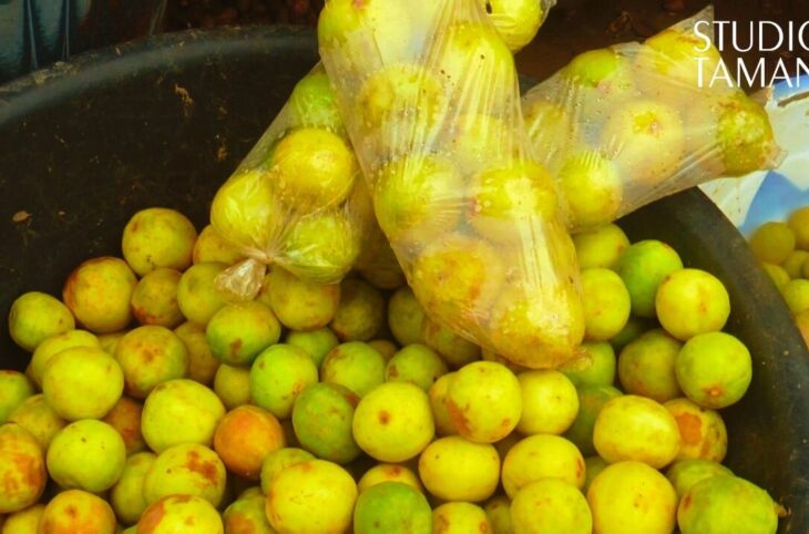 Le citron de plus en plus cher à Kayes malgré son abondance
