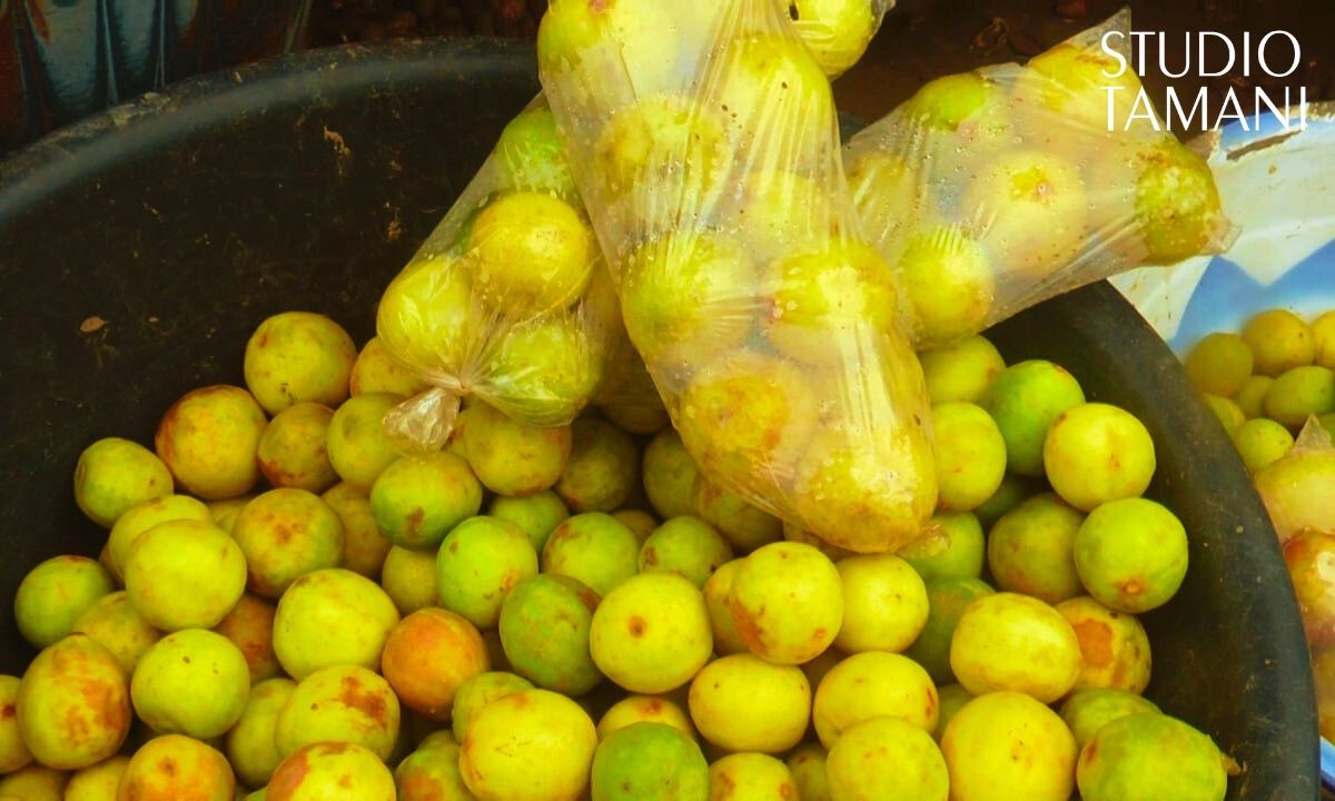 Le citron de plus en plus cher à Kayes malgré son abondance