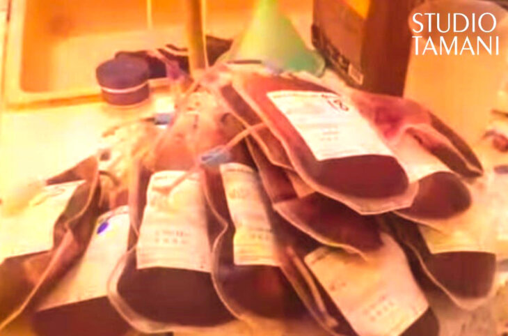 28 poches de sang collectées par le Conseil communal de la jeunesse de Koulikoro