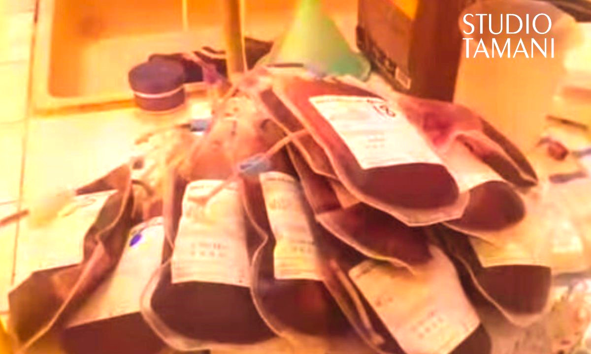 28 poches de sang collectées par le Conseil communal de la jeunesse de Koulikoro