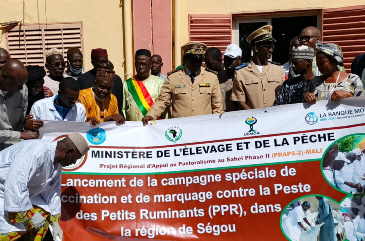C'est parti pour la campagne de vaccination des animaux contre la peste à Segou 