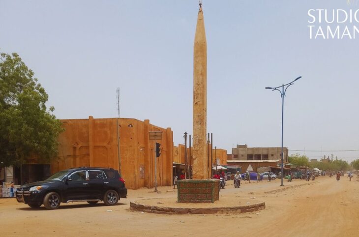 La ville de Gao envahie par des insectes