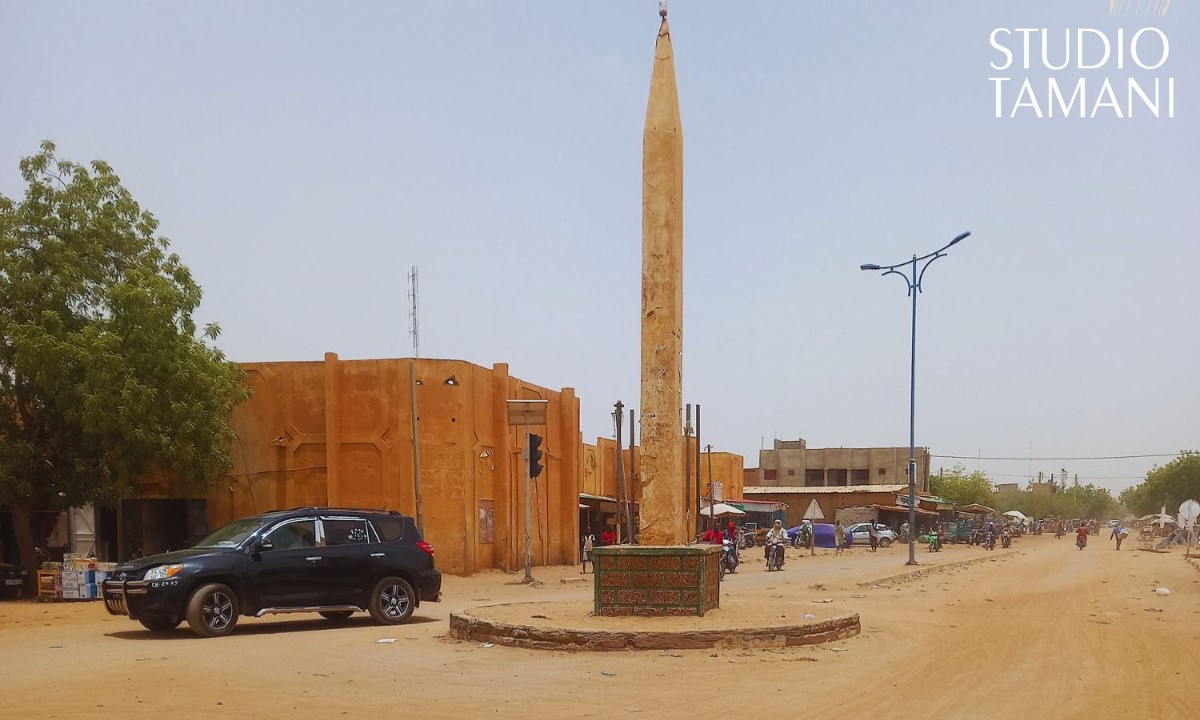 La ville de Gao envahie par des insectes