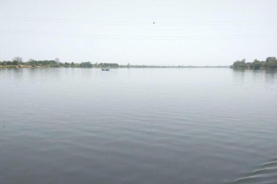 BAFOULABÉ : à Bakouroufata, des champs submergés par la montée du fleuve Bafing
