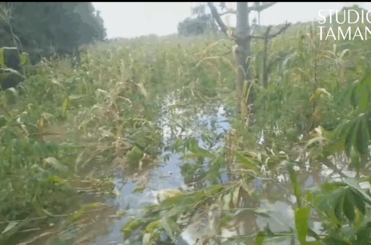 Bafoulabé : vigilance pour les villages riverains du fleuve