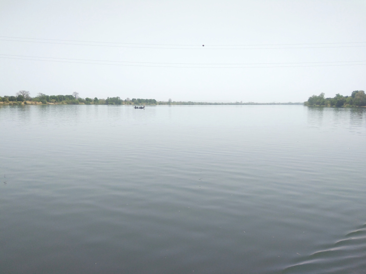 BAFOULABÉ : à Bakouroufata, des champs submergés par la montée du fleuve Bafing