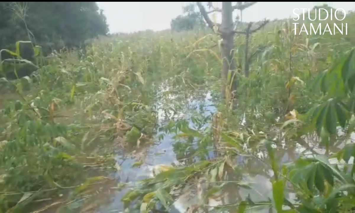 Bafoulabé : vigilance pour les villages riverains du fleuve