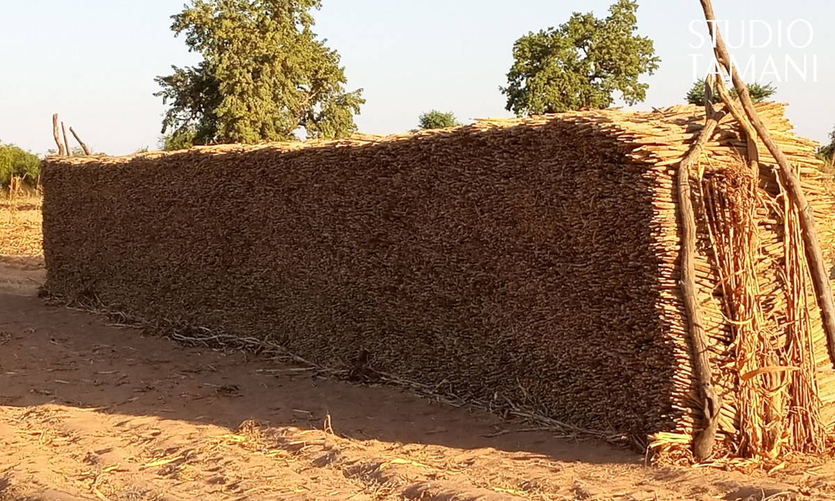 A Bankass, c’est le début de la récolte du mil