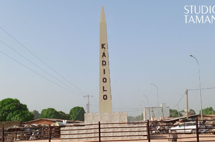 Hausse du prix des produits maraîchers locaux à Kadiolo
