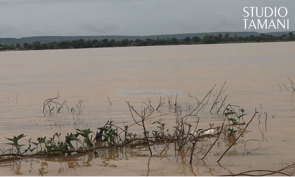 KOULIKORO : Baisse du niveau du fleuve Niger