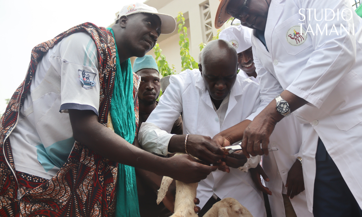 Lancement de la campagne nationale de vaccination contre la peste des petits ruminants à Koulikoro