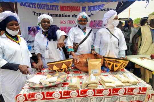 Femmes déplacées internes : quand les coopératives deviennent un moteur d’autonomie