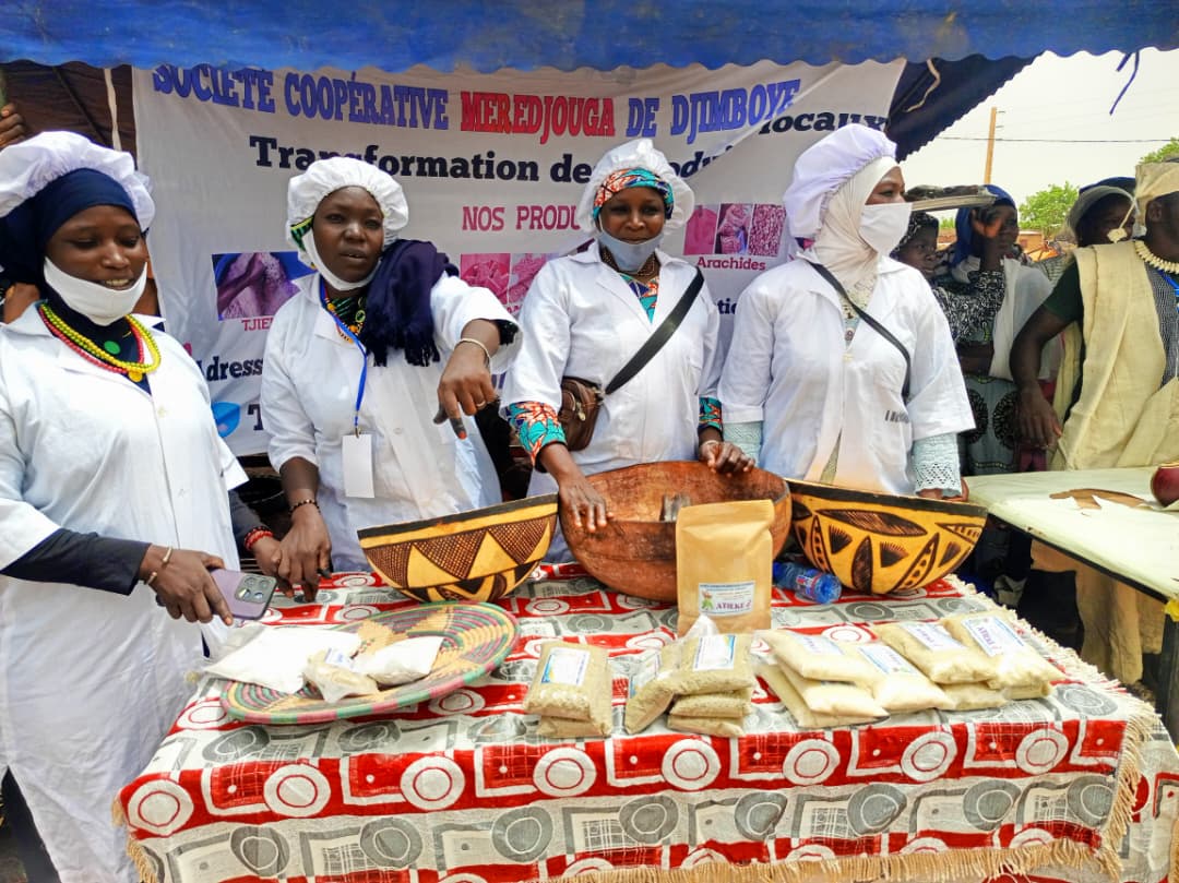 Femmes déplacées internes : quand les coopératives deviennent un moteur d’autonomie