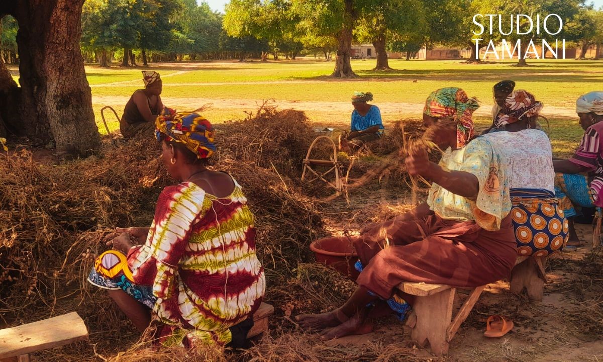 Tominian : les femmes s’unissent pour la campagne d’arachide