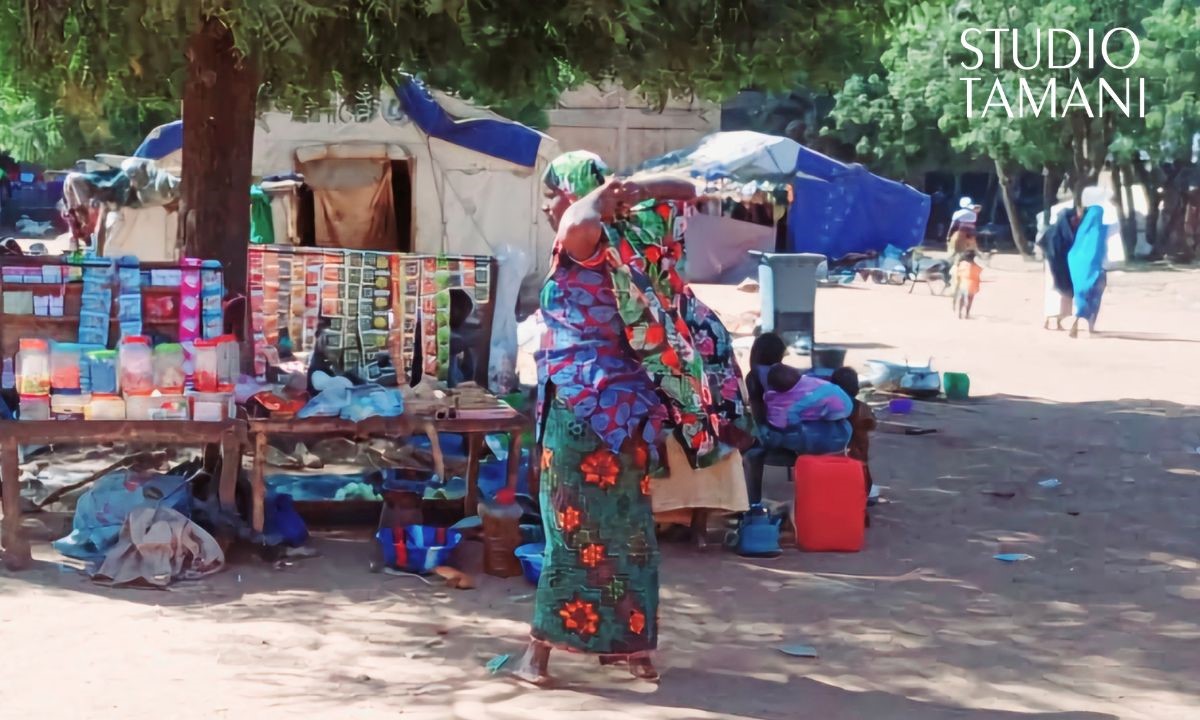 Femmes déplacées : de la survie à la participation