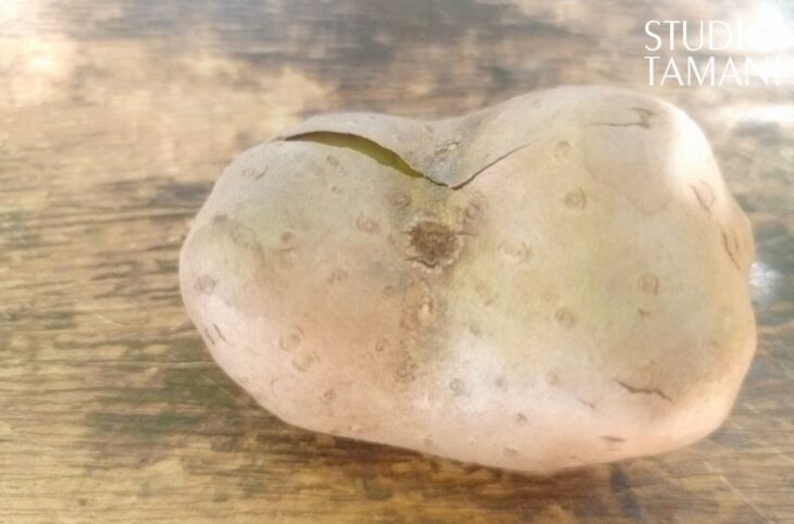 Bankass : le taro, un aliment très présent sur les marchés