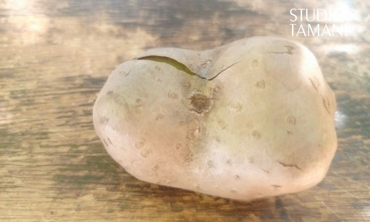 Bankass : le taro, un aliment très présent sur les marchés