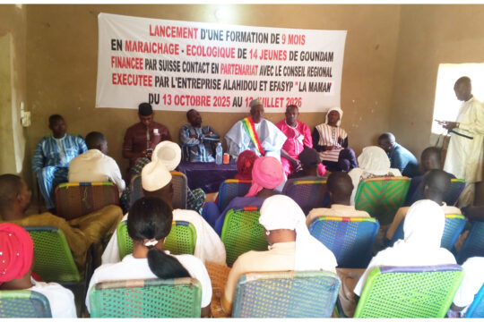 Goundam : formation des jeunes en maraîchage écologique