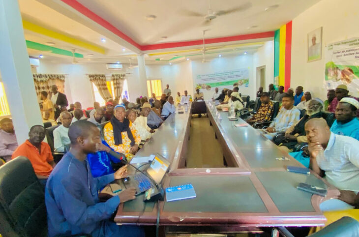 KAYES :  Plaidoyer pour préserver les races bovines locales