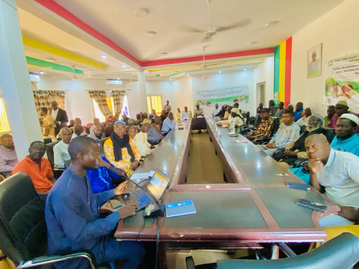 KAYES :  Plaidoyer pour préserver les races bovines locales