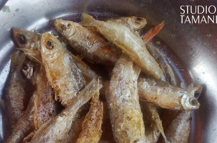 Koutiala : hausse du prix du menu fretin