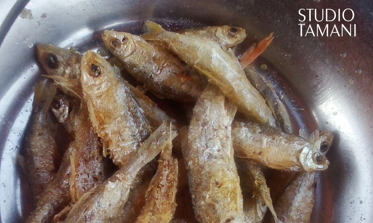 Koutiala : hausse du prix du menu fretin