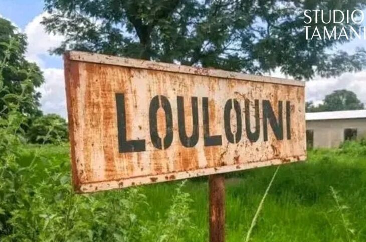 Mali : les Famas « reprennent le contrôle » de Loulouni