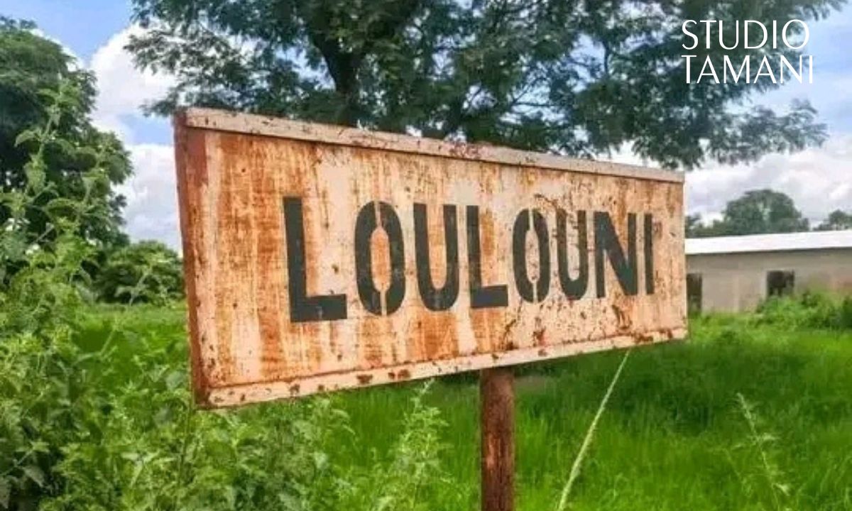 Mali : les Famas « reprennent le contrôle » de Loulouni