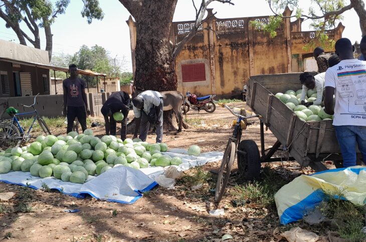 Yorosso : lancement de la campagne de pastèques